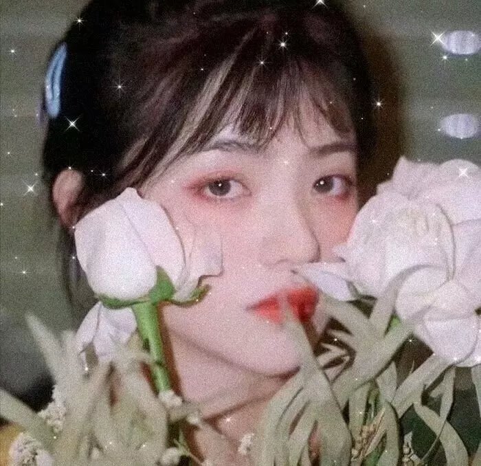 化身情盗